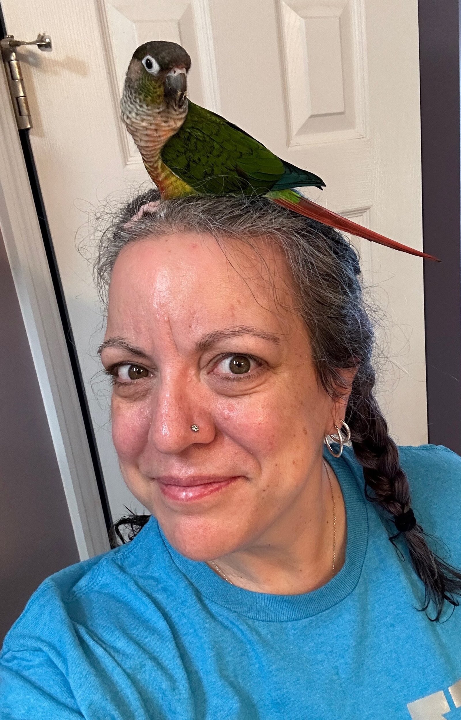 tico on my head