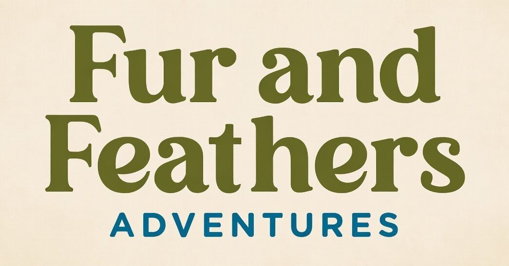 furandfeathersadeventures.net